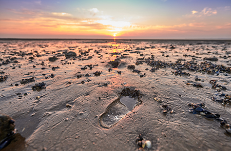 Sonnenuntergang am Wattenmeer. Fußspuren im Watt